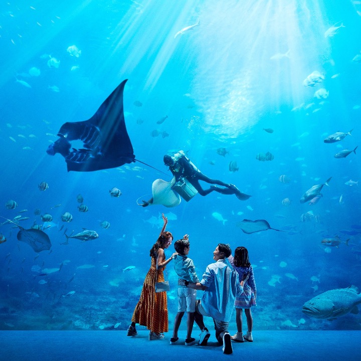 Resorts World Sentosa, S.E.A. Aquarium